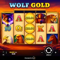 RoyalSea Casino - Wolf Gold Slot Game by Pragmatic Play